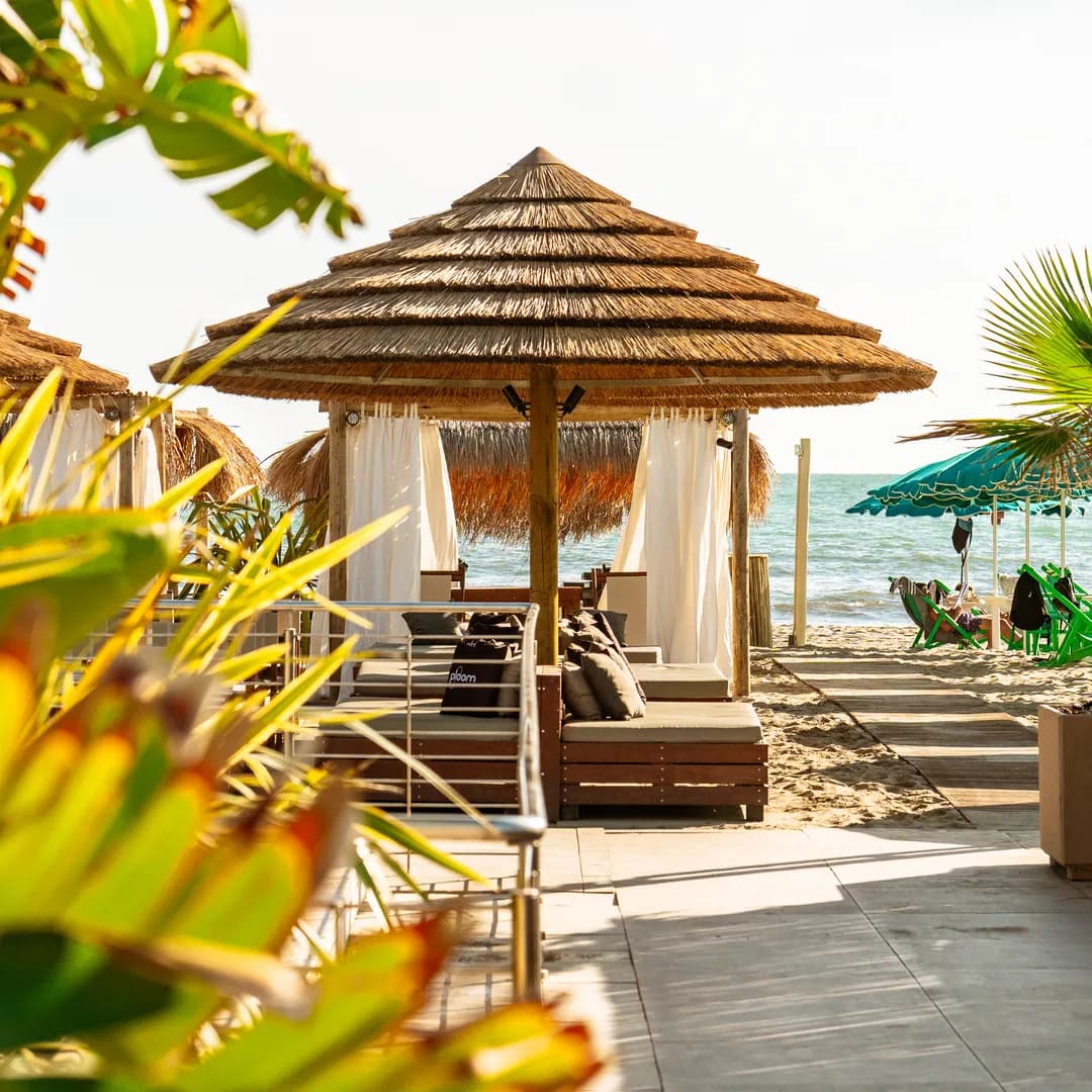 Il vialetto fra i gazebo e le palme dello stabilimento