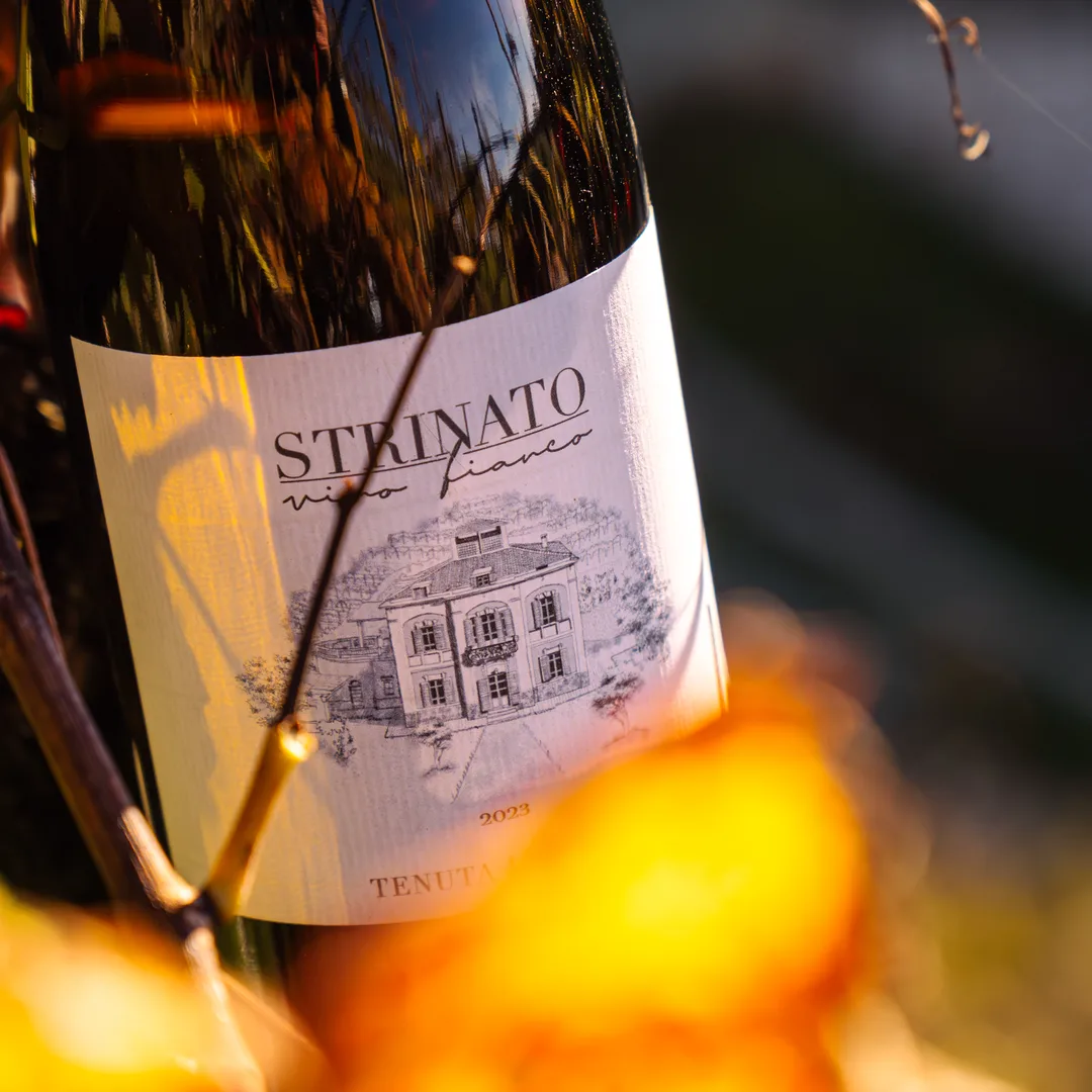 Bottiglia fra le foglie rosse della vigna in autunno