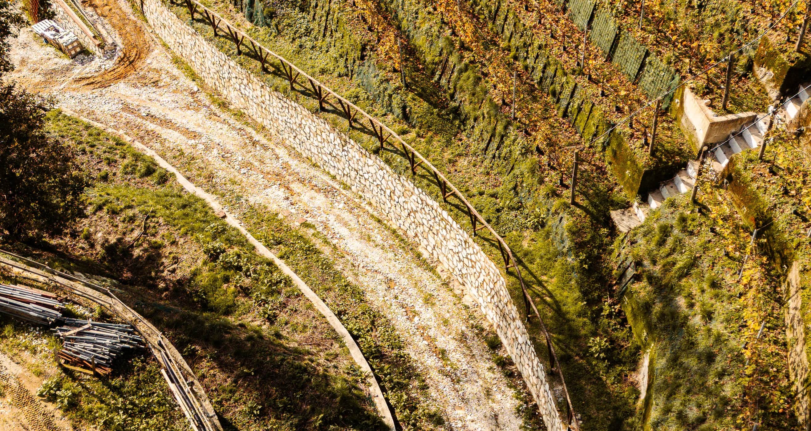 I filari terrazzati della tenuta ripresi dal drone, con la strada che li attraversa